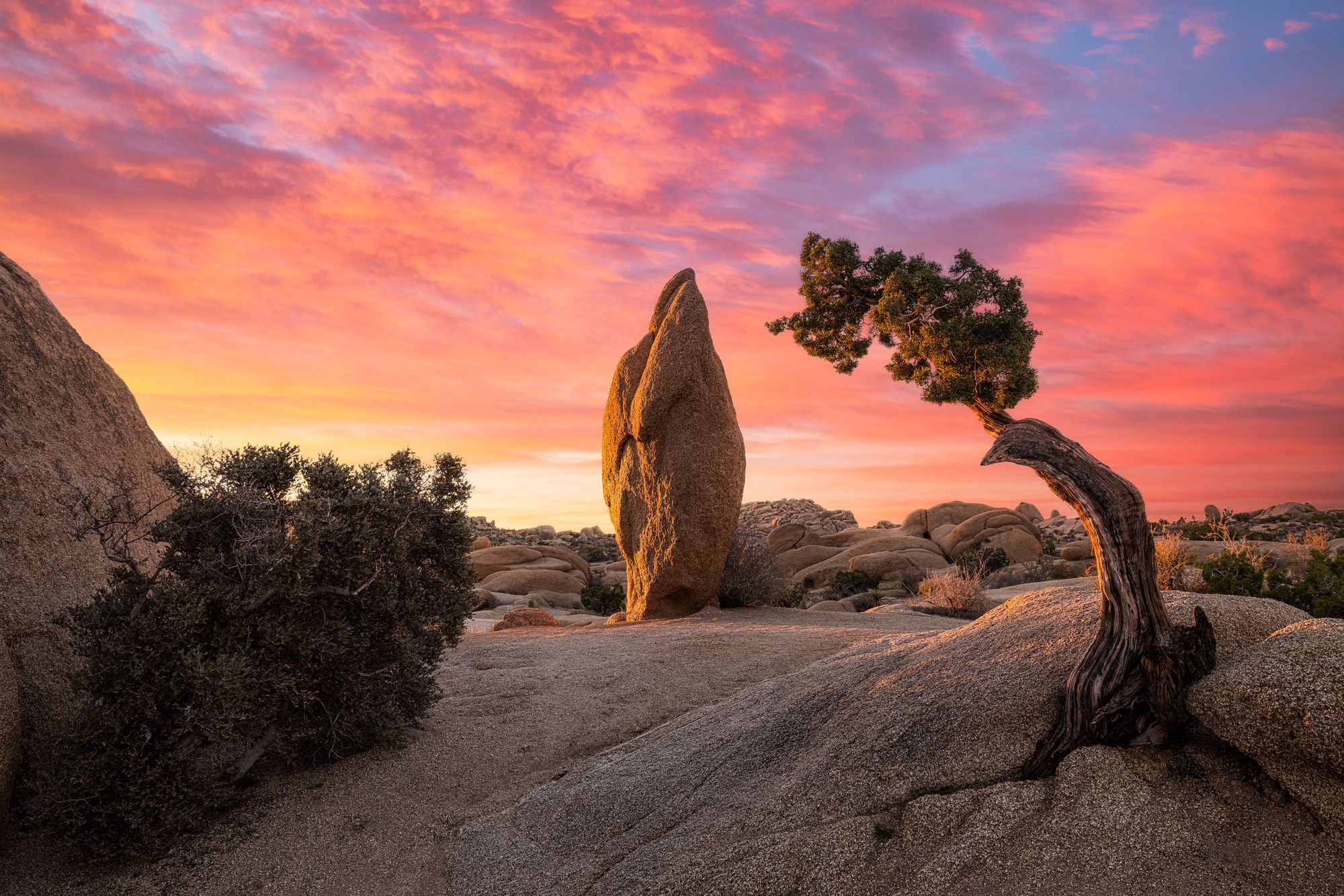 Photo Notes: Penguin Rock in Joshua Tree National Park