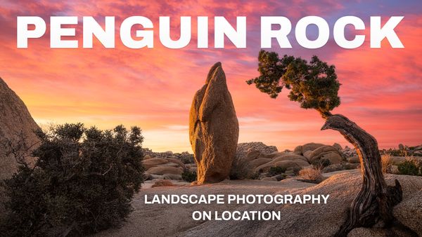 Photographing Penguin Rock in Joshua Tree National Park