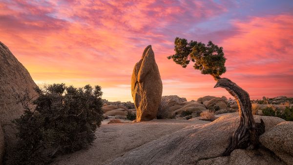 Photo Notes: Penguin Rock in Joshua Tree National Park